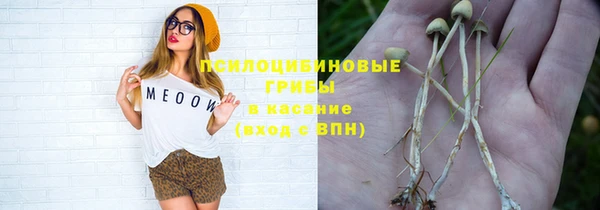 spice Алексин
