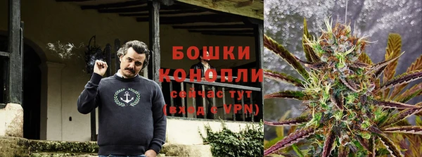 крисы Абдулино