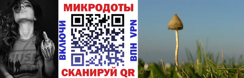 ОМГ ОМГ вход  Тырныауз  Псилоцибиновые грибы мухоморы  магазин продажи наркотиков 